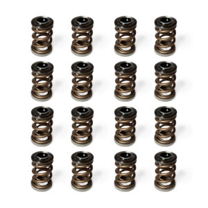 Valve Springs with Titanium Retainers M102 16V Mercedes W201 190E 2.3-16 2.5-16
